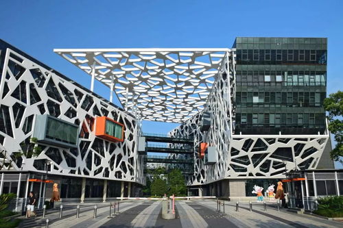 月下代碼 網(wǎng)絡技術(shù)開發(fā)者的中秋堅守與故事